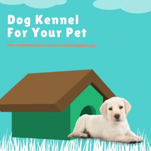 Dog Kennel For Your Pet