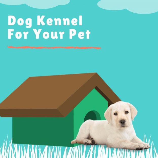 How To Choose The Right Dog Kennel For Your Companion