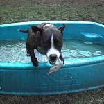 Agod with his bathtub