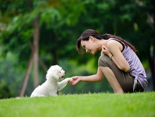 A Woman Trying to Communicate by Shaking Hand While Training Her Dog