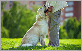 Dog Trainer Showing Affection Towards His Dog