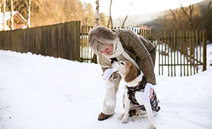 Winter Dog Safety Tips