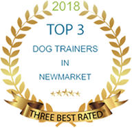 Top 3 dog trainers in newmarket