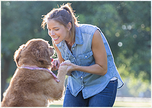 off leash behaviour