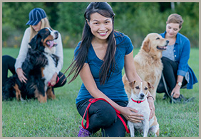 Dog Training Services in East Gwillimbury