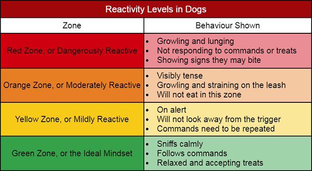 Reactive Dogs are Uncomfortable