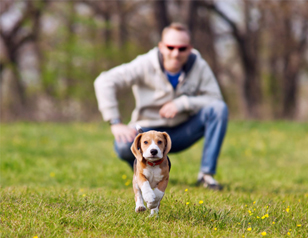 How to Start Puppy Training in the First Week Home