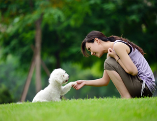 How to Start Puppy Training in the First Week Home